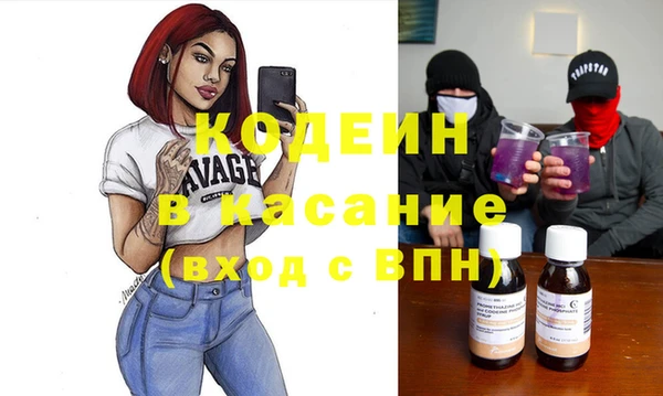 молекула духа Арсеньев