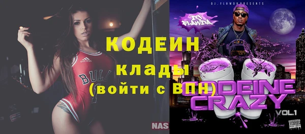 молекула духа Арсеньев