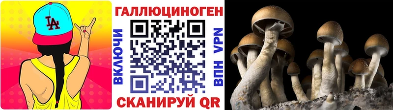 MEGA зеркало  Усинск  Псилоцибиновые грибы прущие грибы 